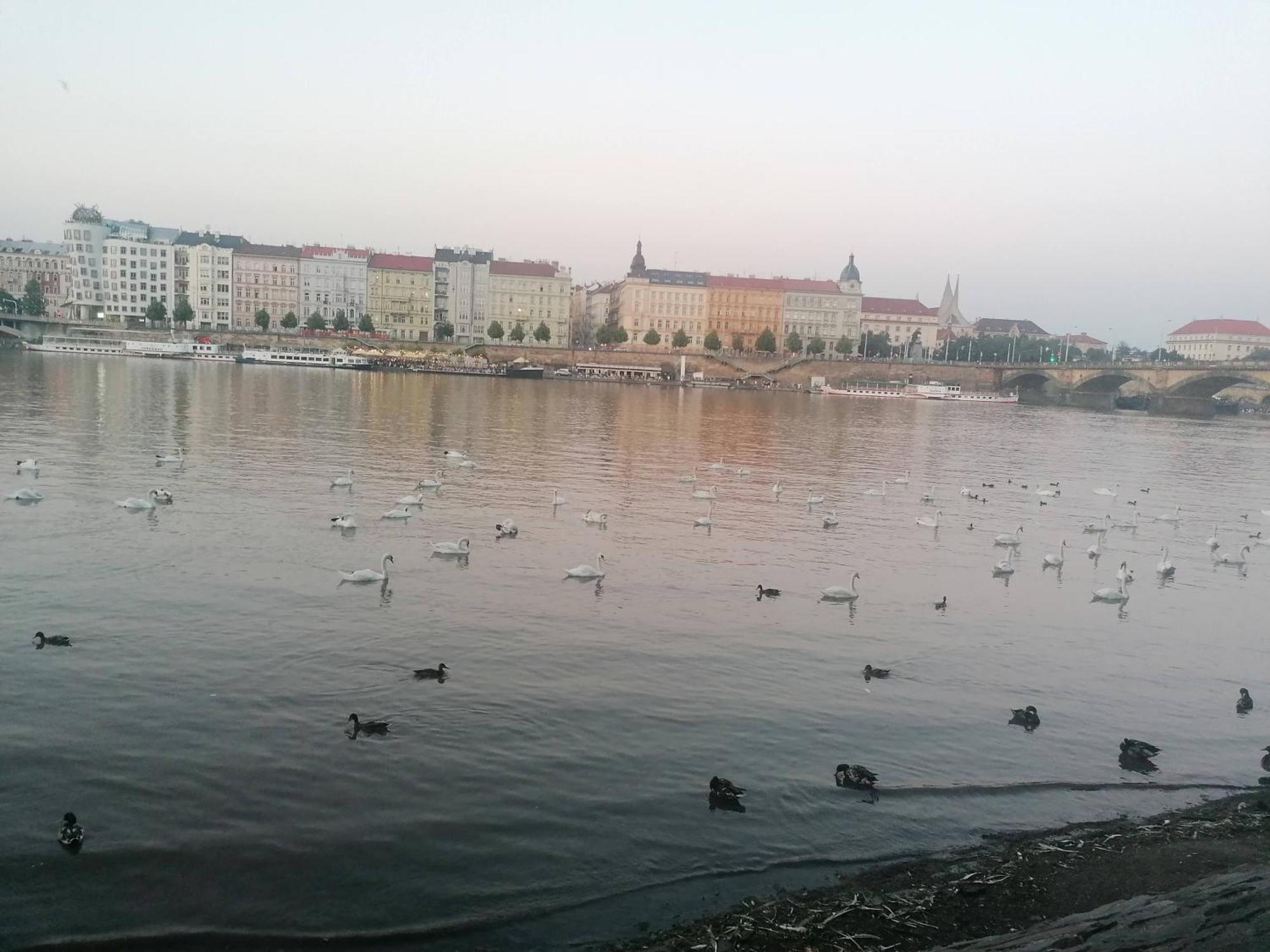 Appartamento Valentinka Minutes Away From Charles Bridge Praga Esterno foto