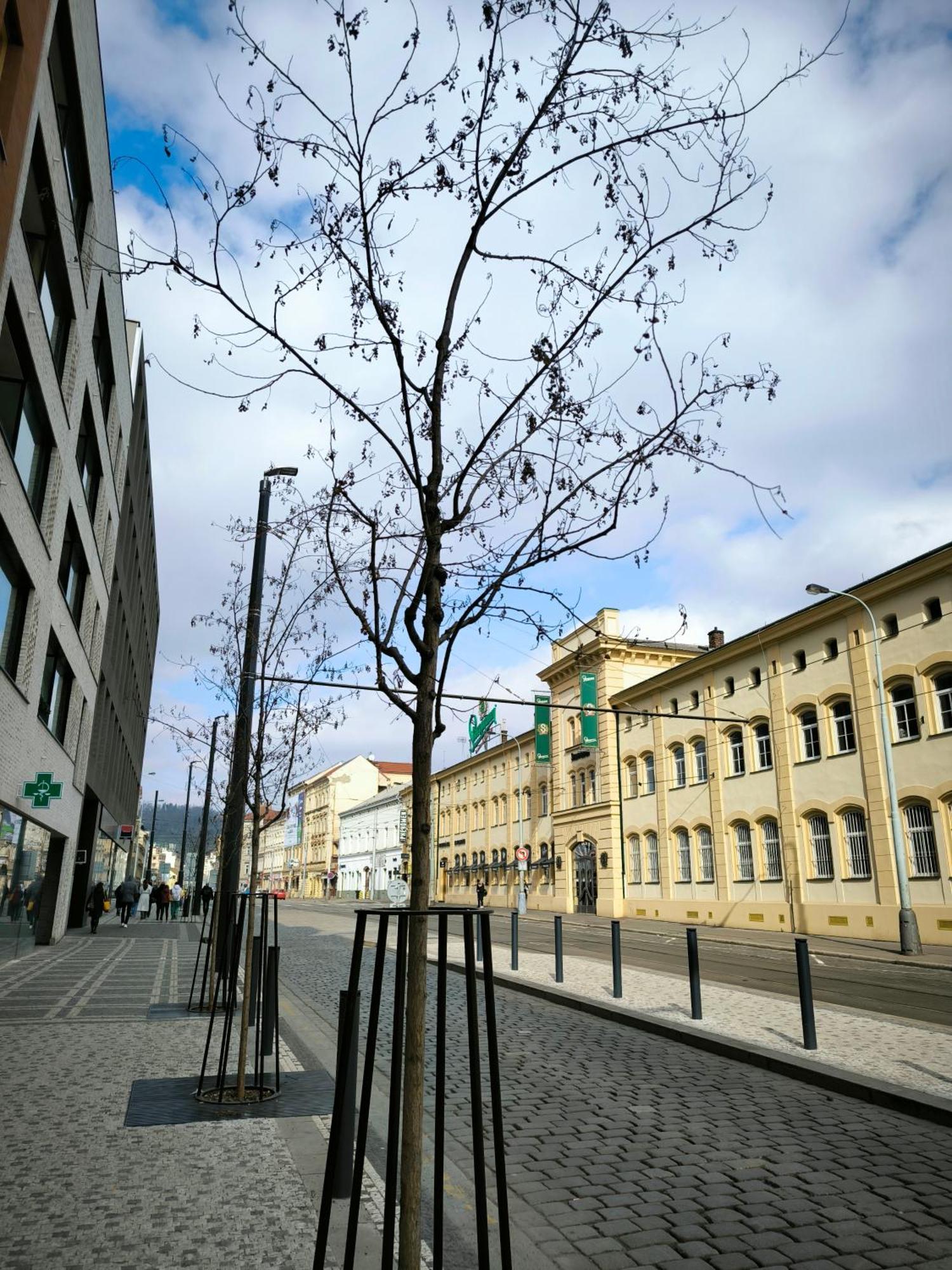 Appartamento Valentinka Minutes Away From Charles Bridge Praga Esterno foto